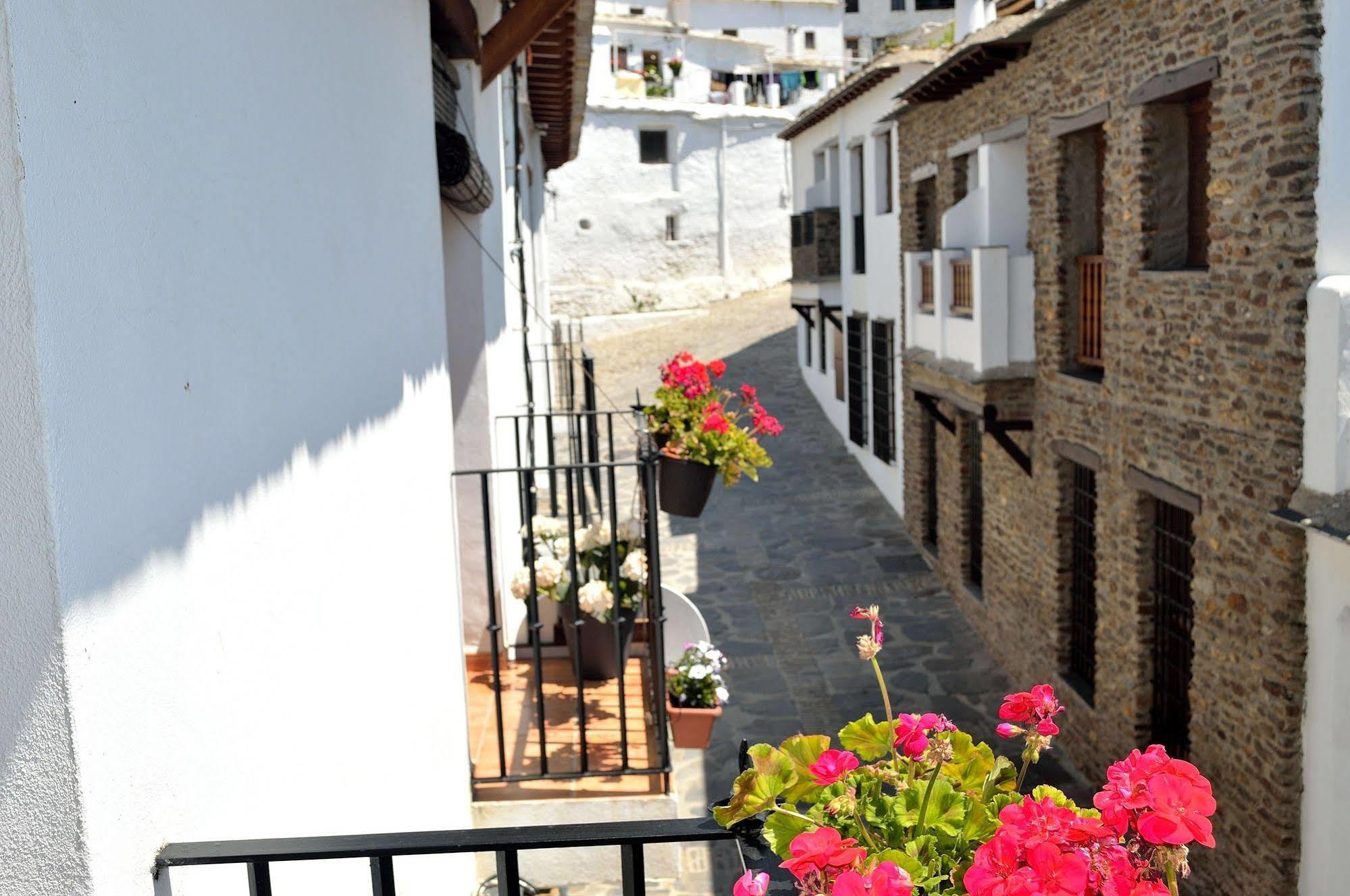 Hotel Rural Alfajia De Antonio Capileira Luaran gambar